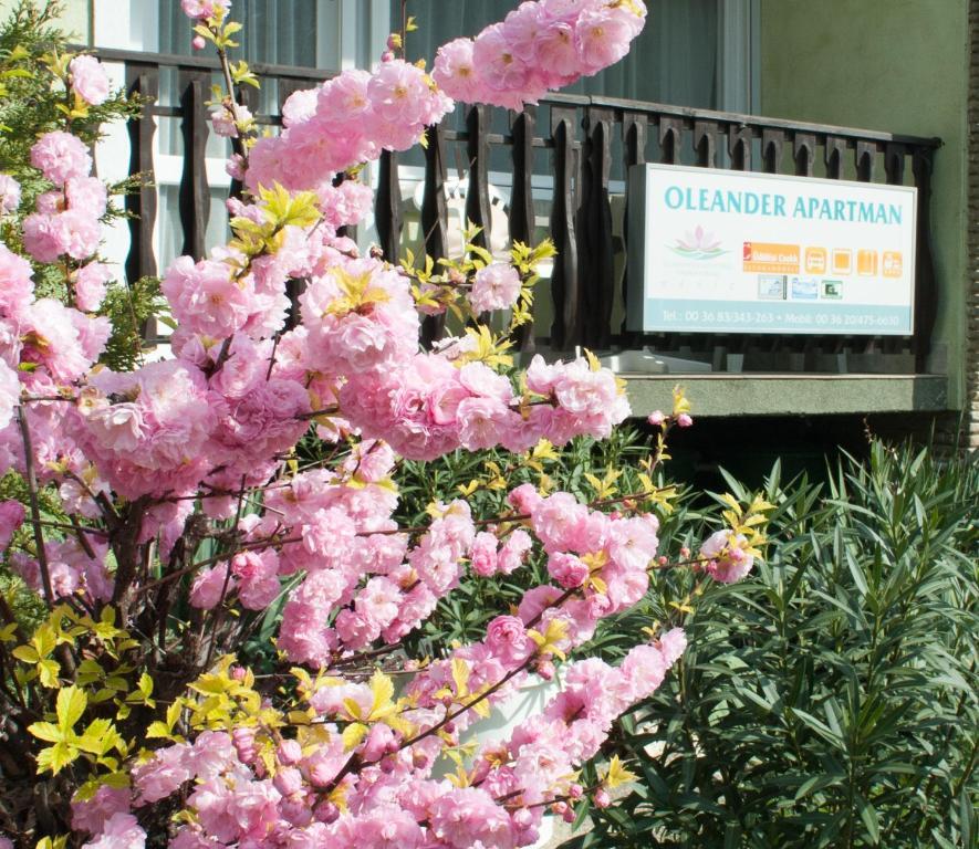 Oleander Apartman Hévíz Esterno foto